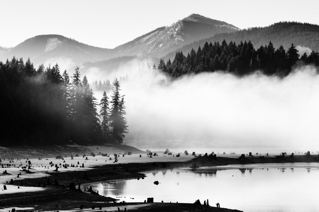 dave yYABaqHw9WQ unsplash 1024x682 - A Guide to Black and White Photography